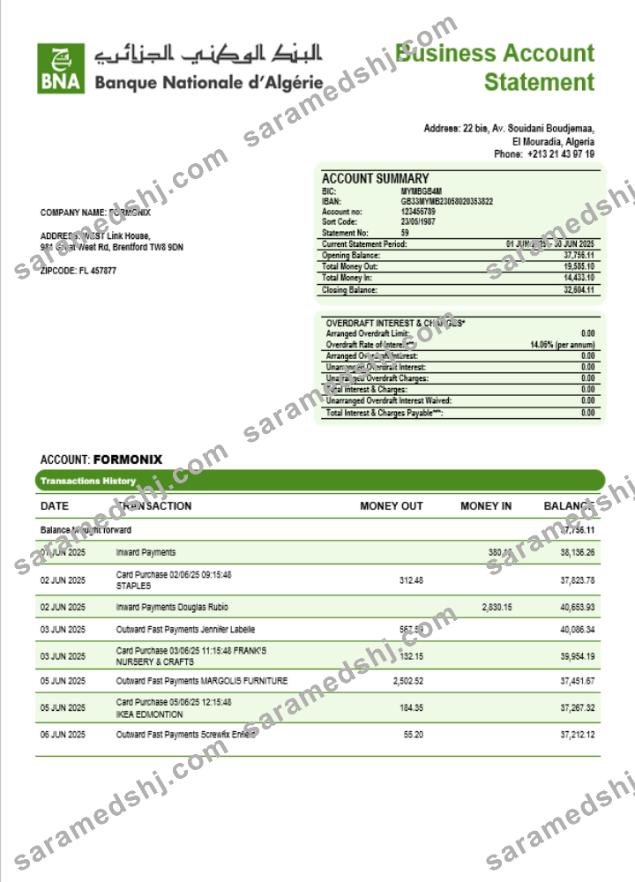 Banque nationale d’Algérie (BNA) enterprise account statement Word and PDF template